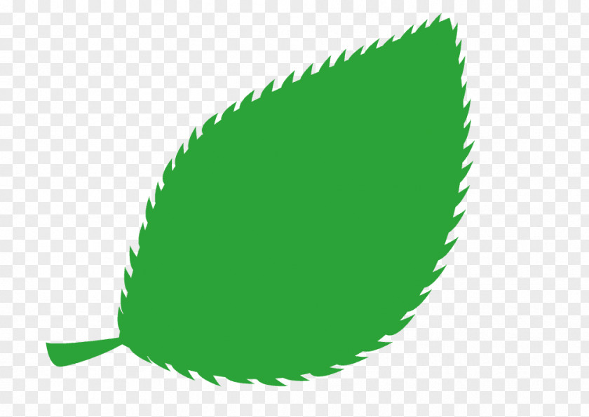 Leaf Illustration Graphics Green Design PNG