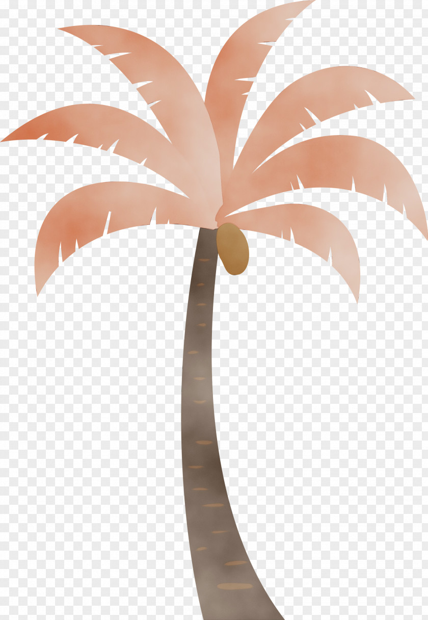 Palm Trees PNG