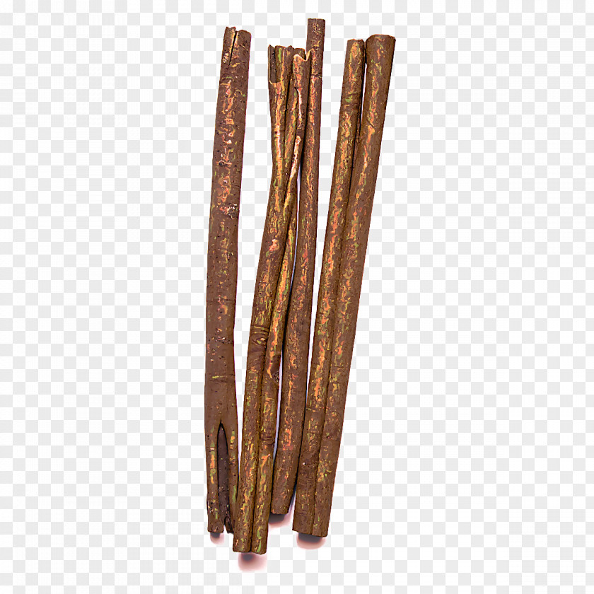 Plant Cinnamon Stick Wood PNG