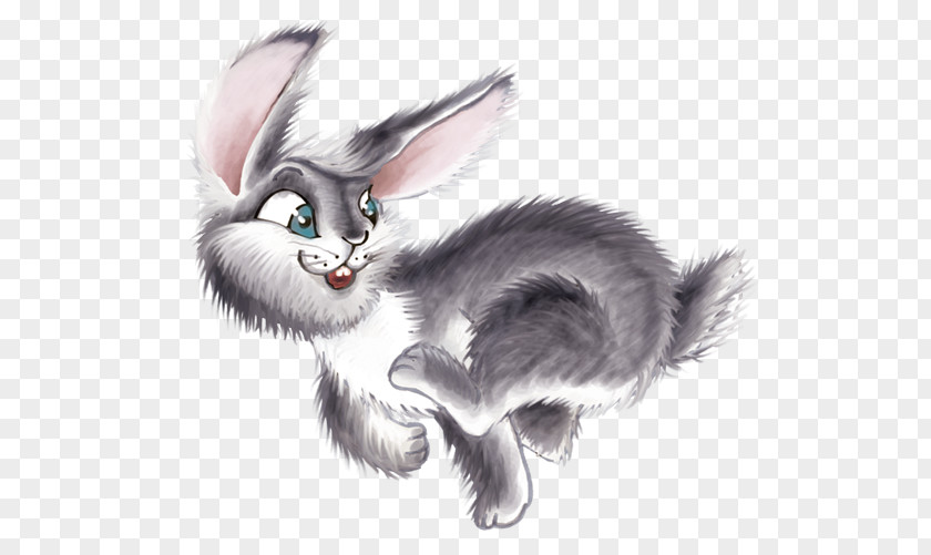 Rabbit Hare Spring Clip Art PNG