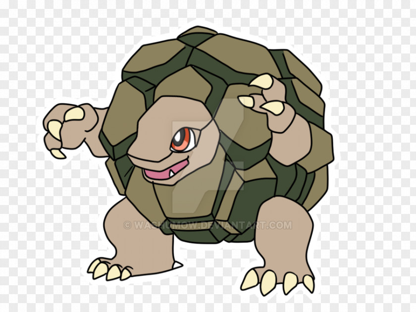 Turtle Tortoise Dog Canidae PNG