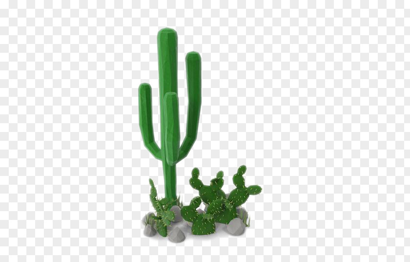 3D Cactus Cactaceae Low Poly Syrup Download PNG