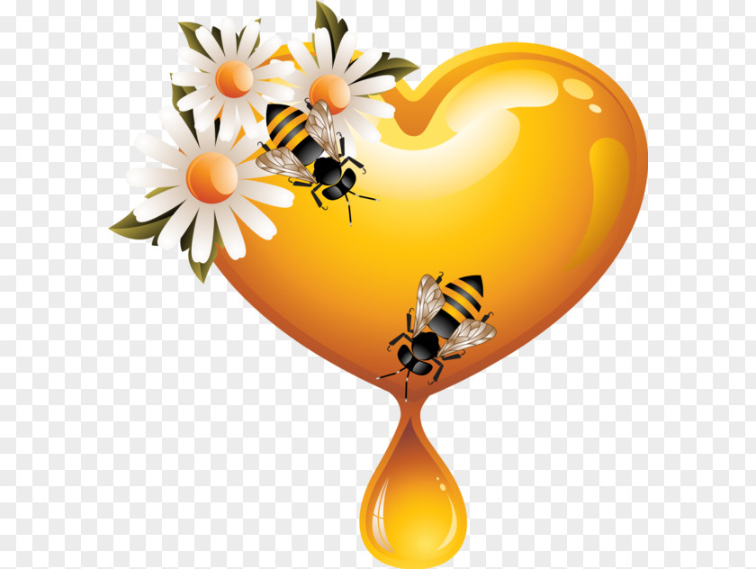 Bee Western Honey Heart Clip Art PNG