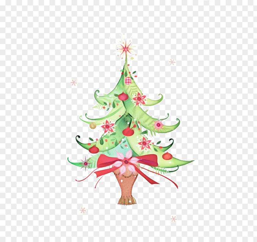 Christmas Eve Conifer Family Tree Design PNG