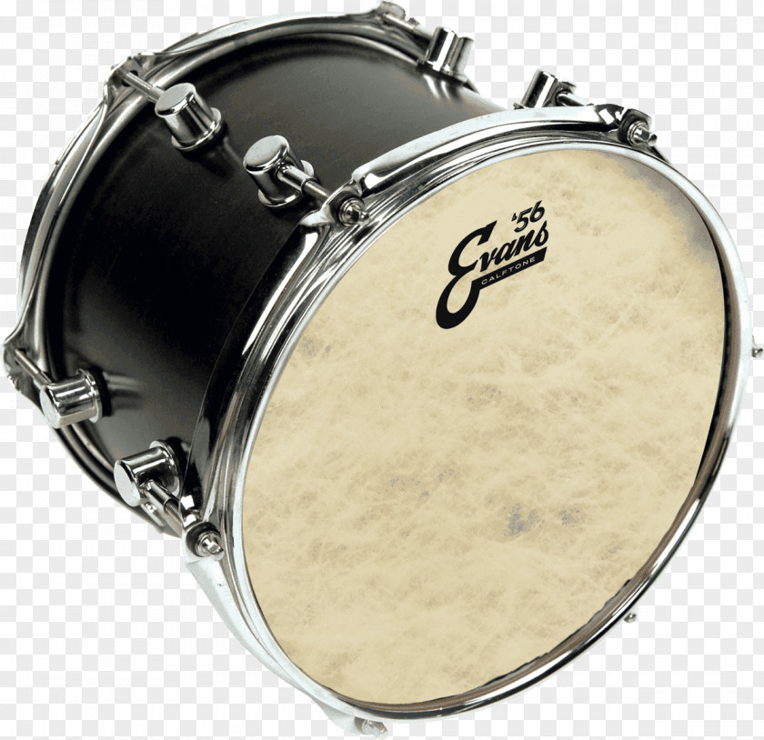 Drum Drumhead Tom-Toms Snare Drums Percussion PNG