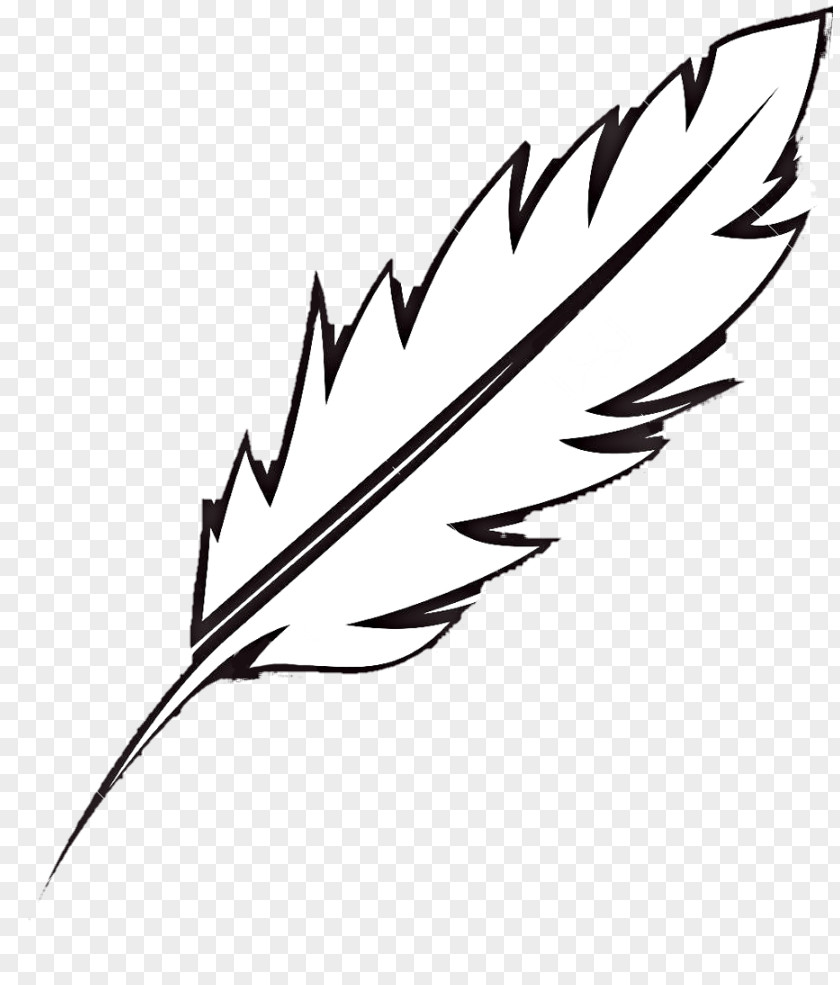 Feather Bird Clip Art Coloring Book Illustration PNG