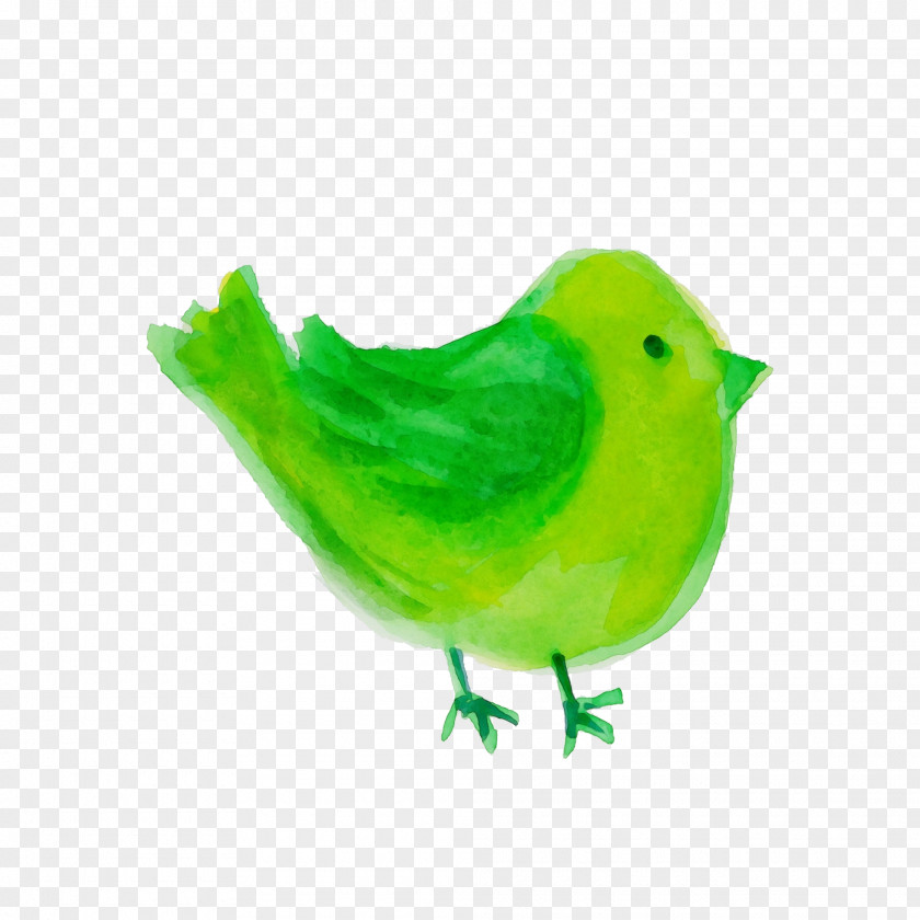 Feather PNG