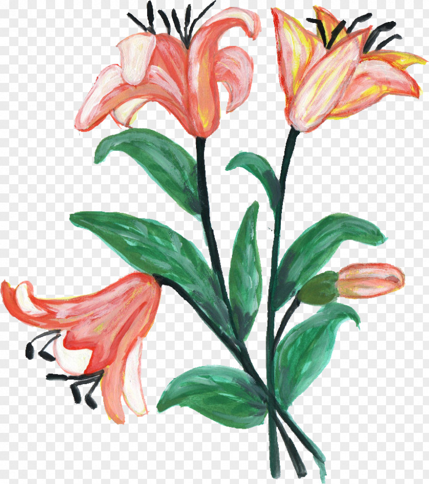 Flower Paint Cut Flowers Floral Design Floristry PNG