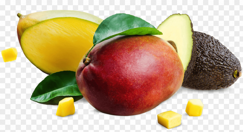 Mango Fruit Food Stock Photography Avocado PNG