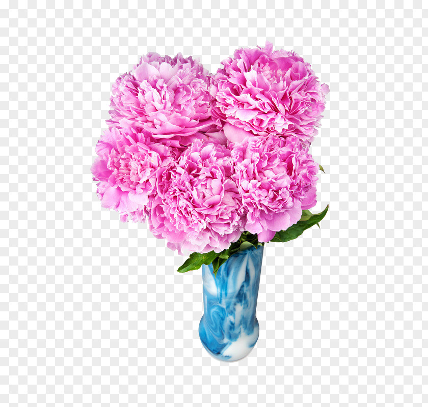 Peony Garden Roses Moutan Flower Stock Photography PNG