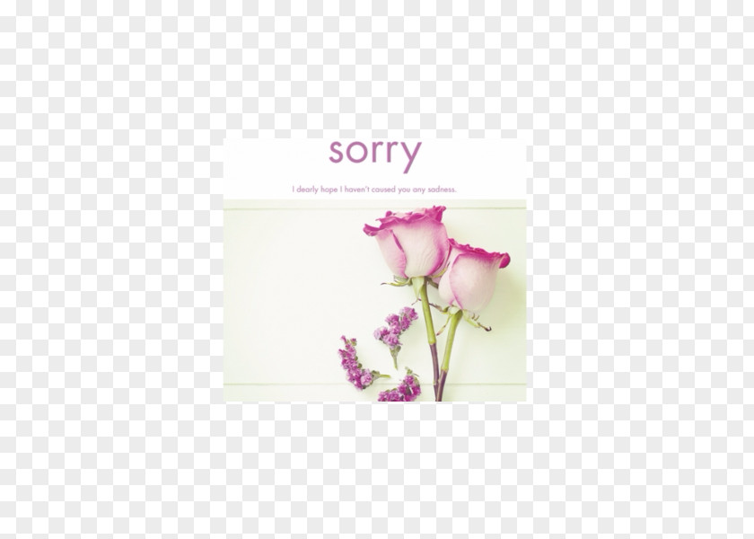 Flower Petal Greeting & Note Cards Artificial Font PNG