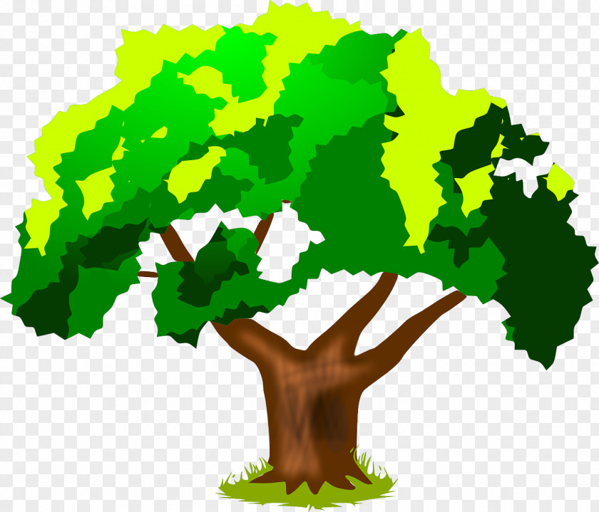 Tree Vector Cedar Hill Fertilisers Compost Board Of Directors Voluntary Association PNG