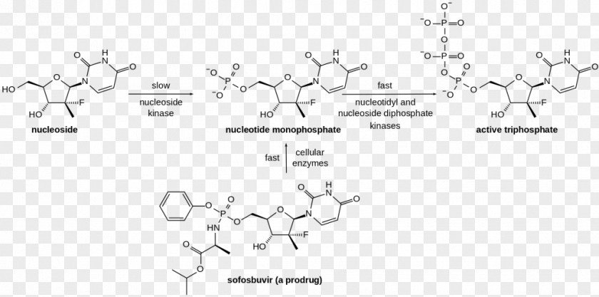 WORLD HEPATITIS DAY Ledipasvir/sofosbuvir Antiviral Drug Hepatitis C Pharmaceutical PNG