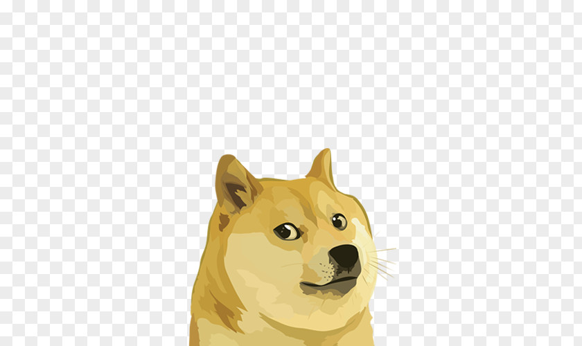 Bitcoin Dogecoin Shiba Inu Cryptocurrency Altcoins PNG