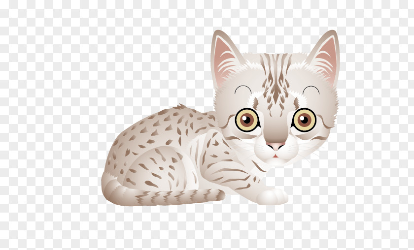 Creative Cat Bengal Persian Kitten Clip Art PNG