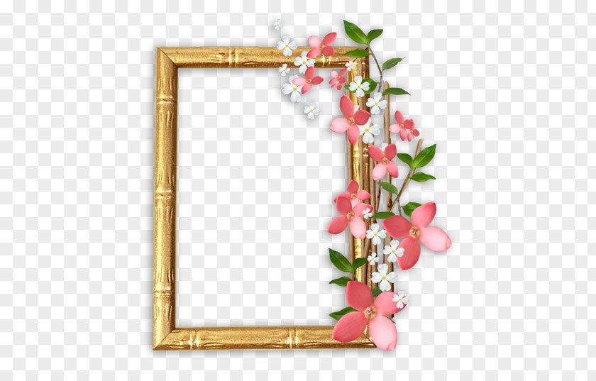 Design Floral Picture Frames Photography PNG