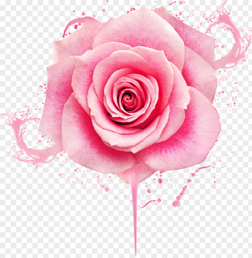 Flower PNG