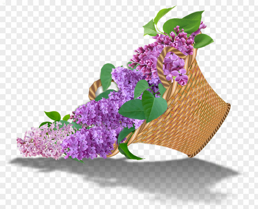 Lilac Floral Design Flower Bouquet Cut Flowers PNG