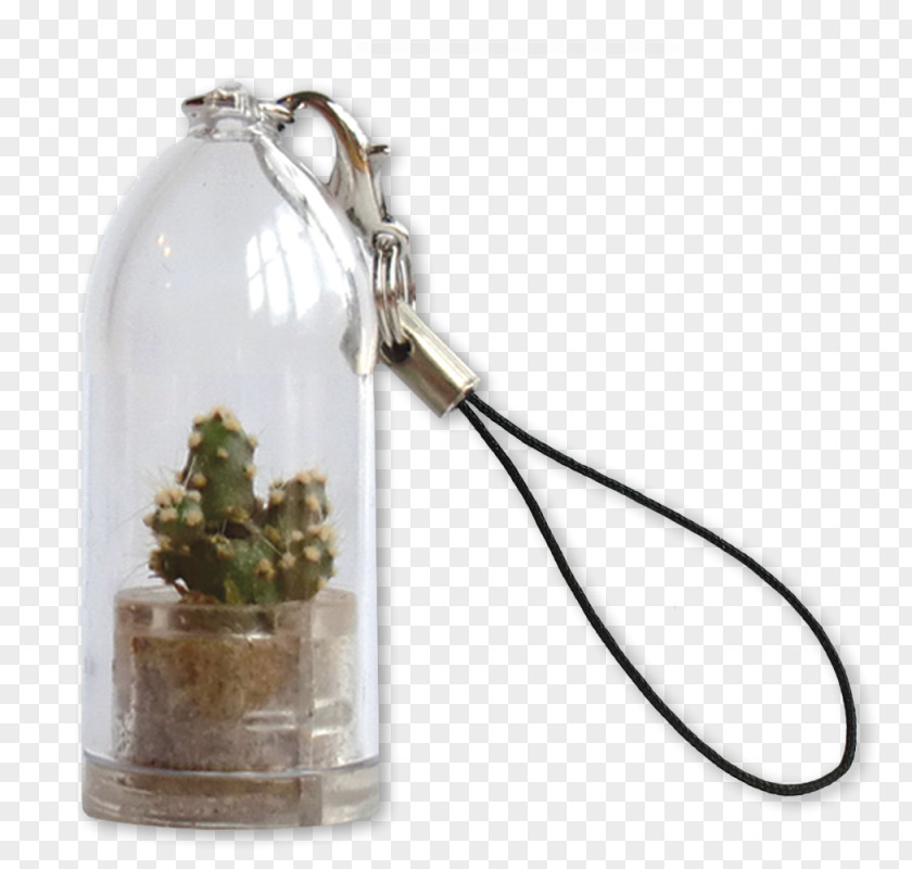 Cactus Cacti And Succulents Key Chains Succulent Plant Plants PNG