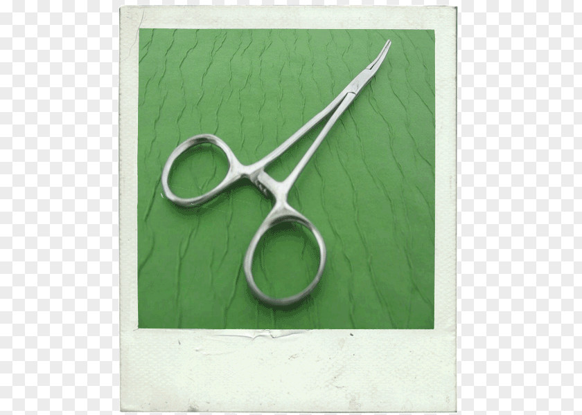 Curve Ring Scissors PNG