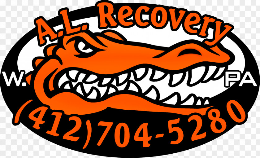 Draft Al Recovery Repossession Pittsburgh Skiptrace Hubbard PNG