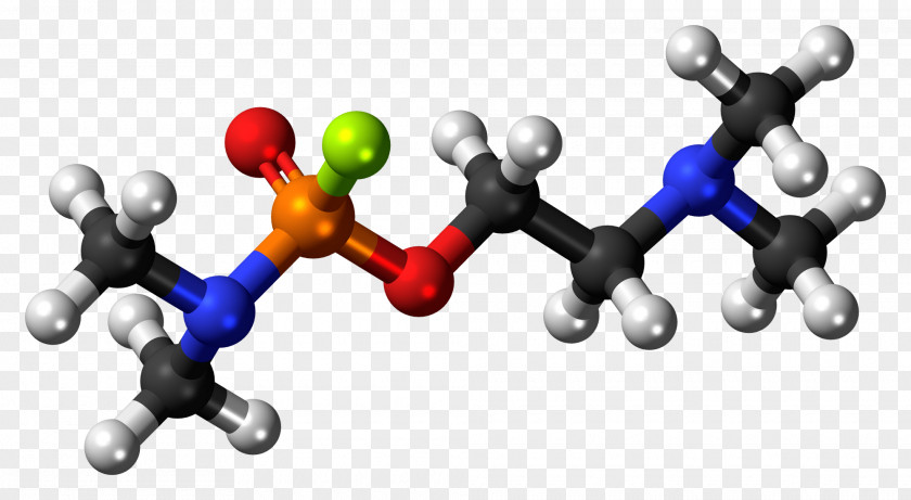 Nerve Adipic Acid Amyl Acetate Dicarboxylic EGTA PNG