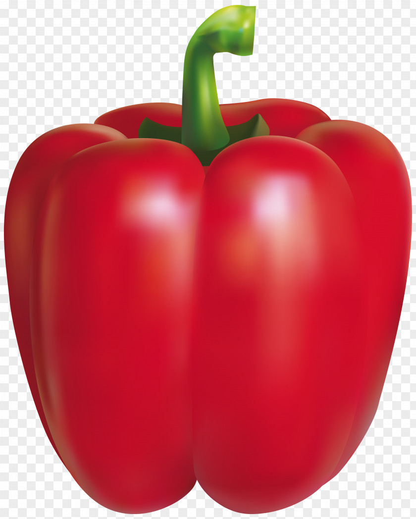 Red Pepper Clipart Image Chili Bell Peppers Clip Art PNG