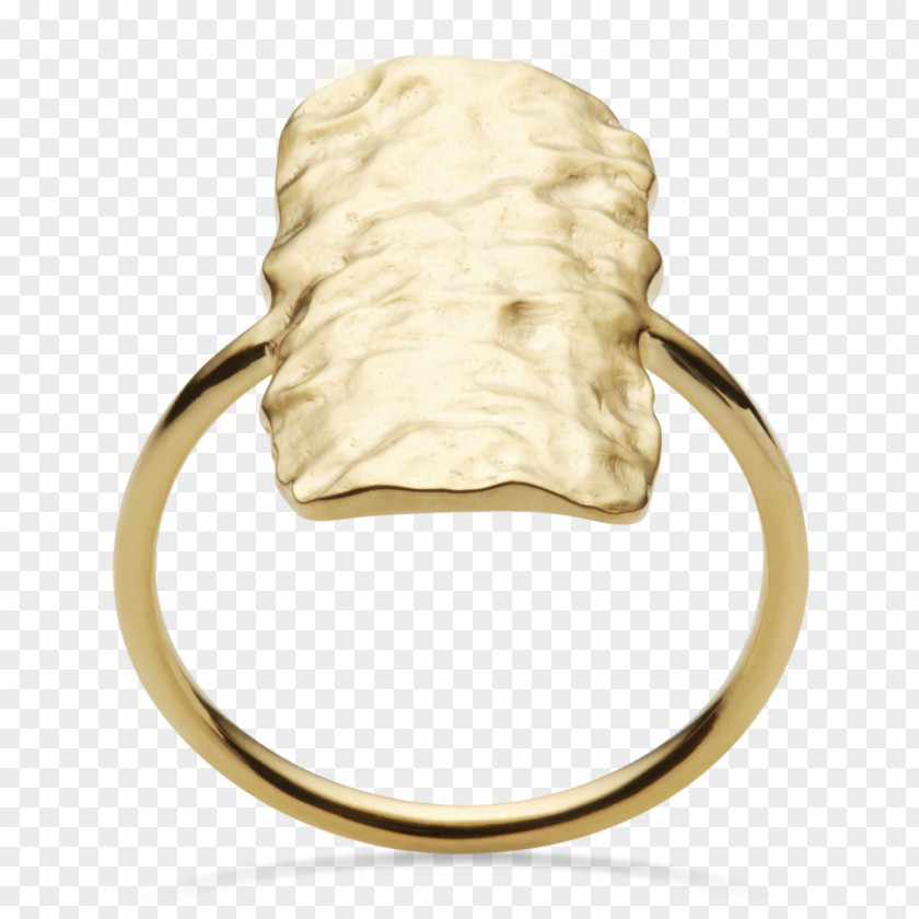 Ring Lyngby Storcenter Earring Gold Silver PNG