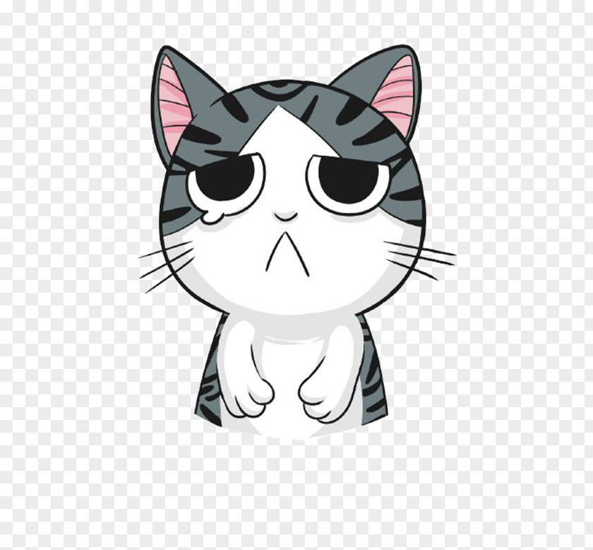 Sad Cat Kitten Whiskers T-shirt PNG