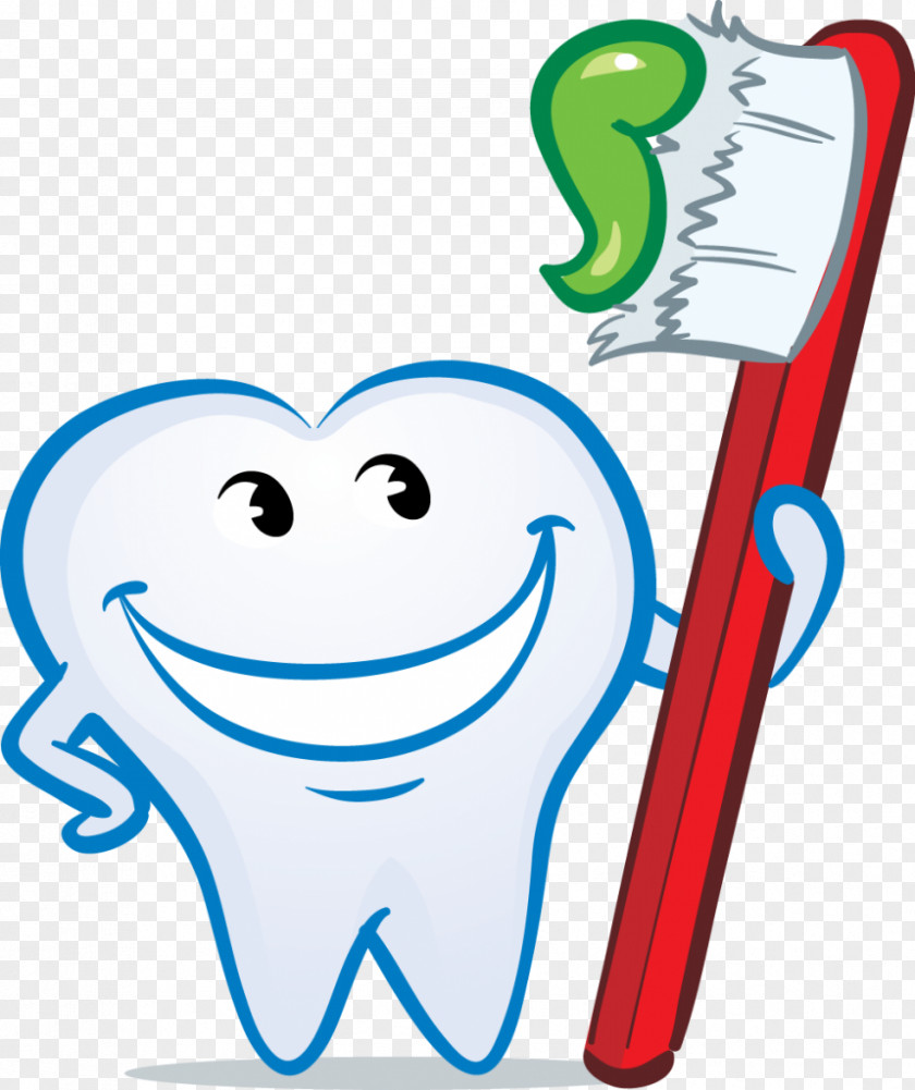 Teeth Smile Human Tooth Dentist PNG