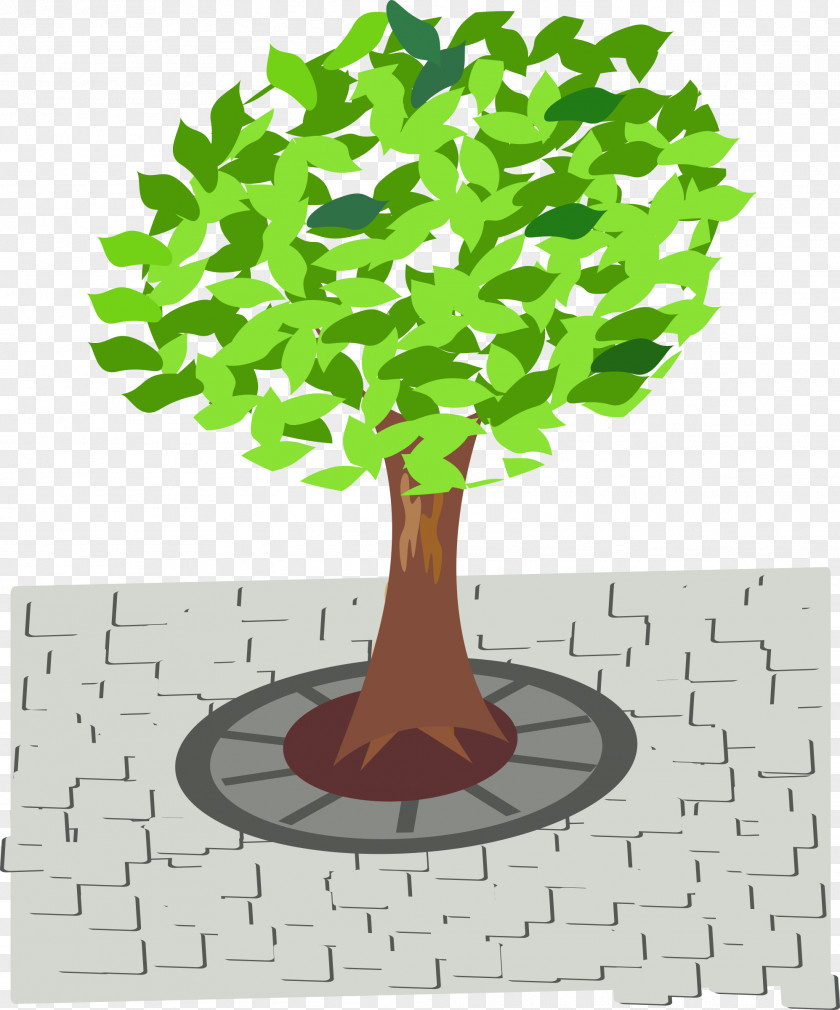 Tree Clip Art PNG