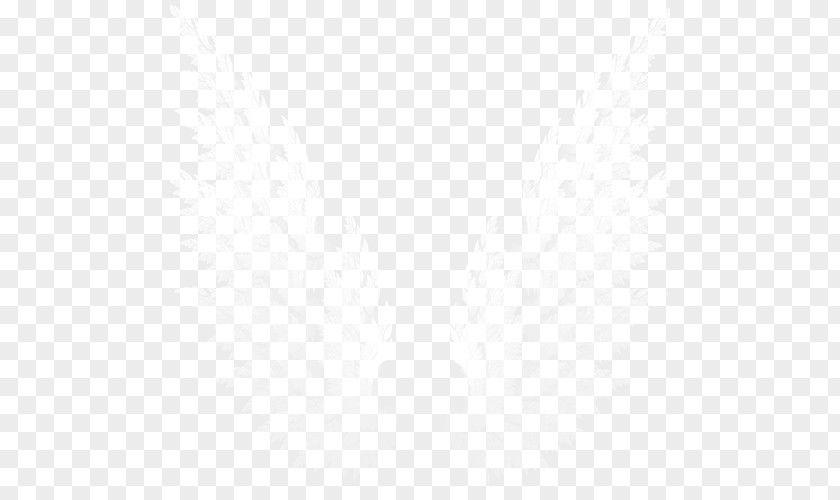 Wing Line Symmetry Angle Point Pattern PNG