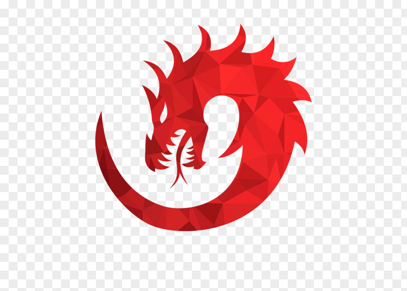 Albania Pattern Video Games Flick Champions Winter Sports The Elder Scrolls V: Skyrim Fire Emblem Awakening PNG