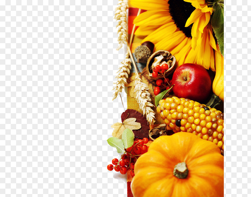 Fruits And Vegetables Thanksgiving Wish Saying Give Thanks With A Grateful Heart The Roots Of All Goodness Lie In Soil Appreciation For Goodness. PNG