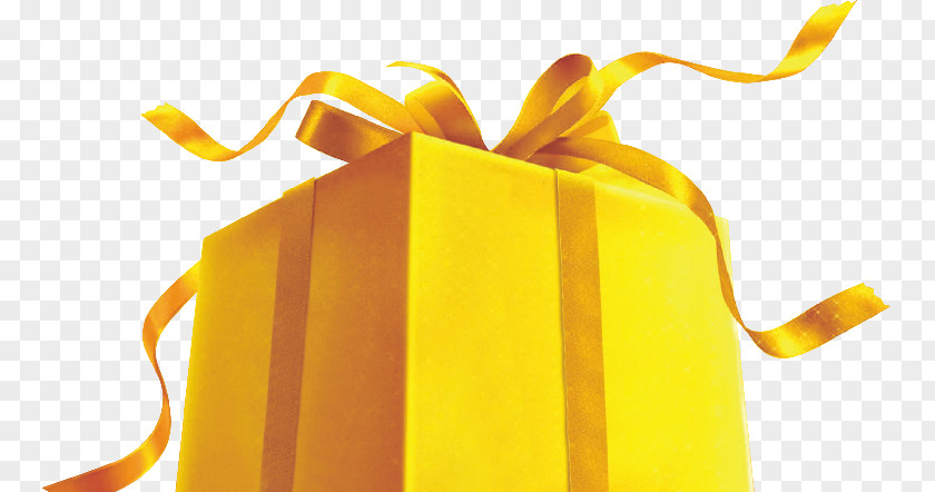 Gift Designer PNG