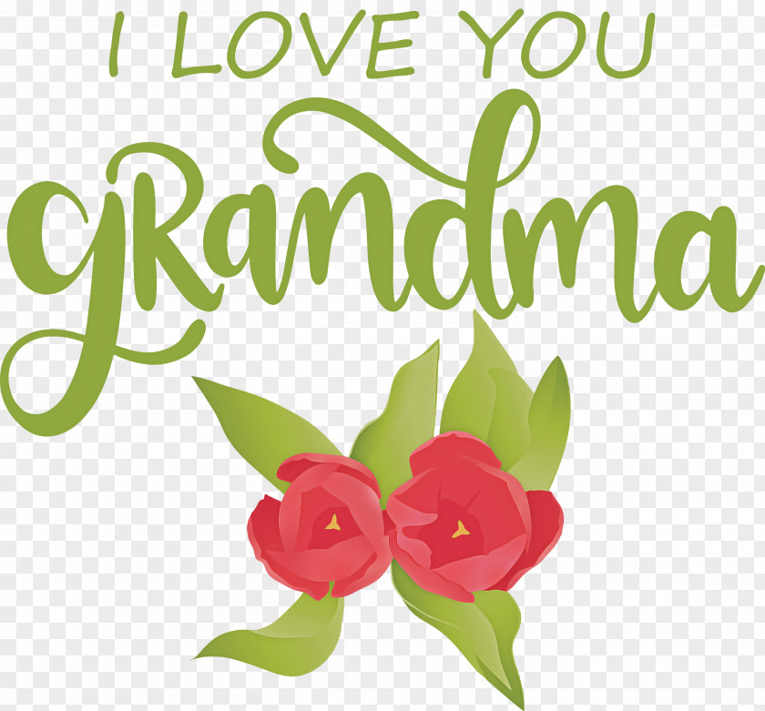 Grandmothers Day Grandma PNG