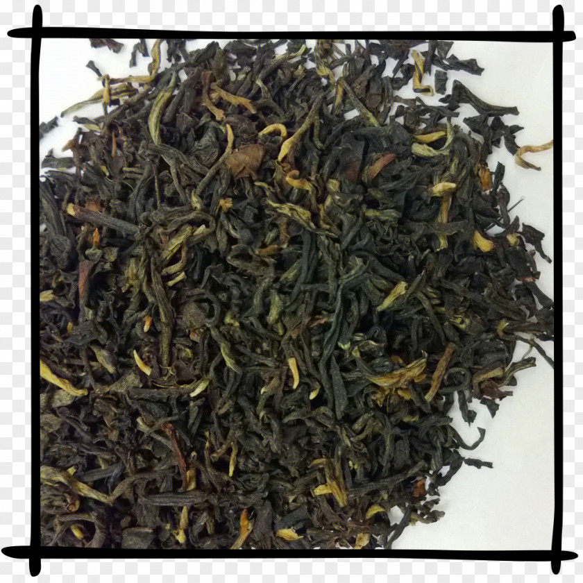 Milk Spalsh Lapsang Souchong Nilgiri Tea Darjeeling Earl Grey PNG