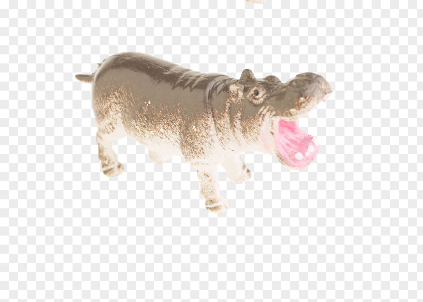 Roi Cattle PhotoScape Hippopotamus GIMP Age Of Enlightenment PNG