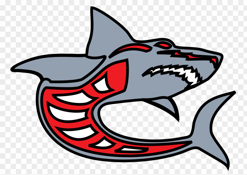 Sharks Great White Shark Clip Art PNG