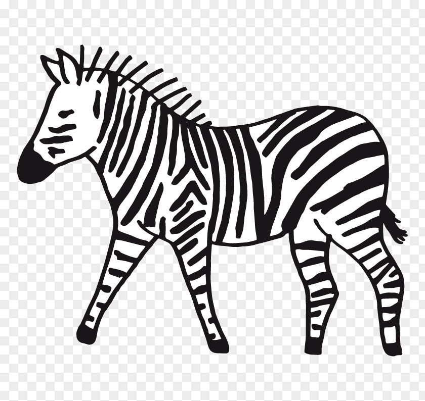 Zebra Illustration Quagga Designer Pattern PNG