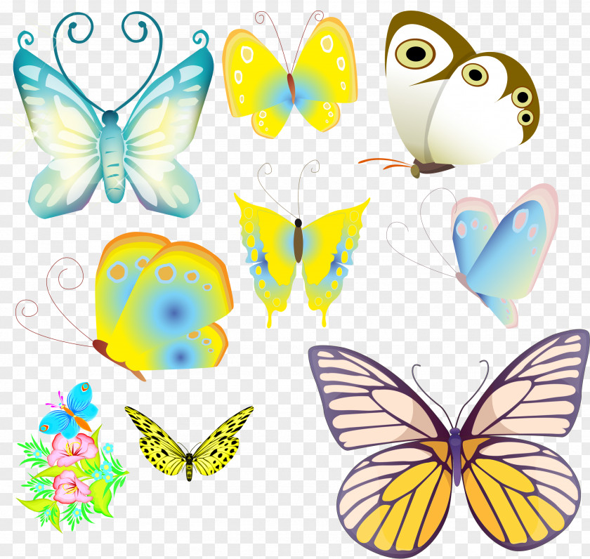 Butterfly Monarch Drawing Clip Art PNG