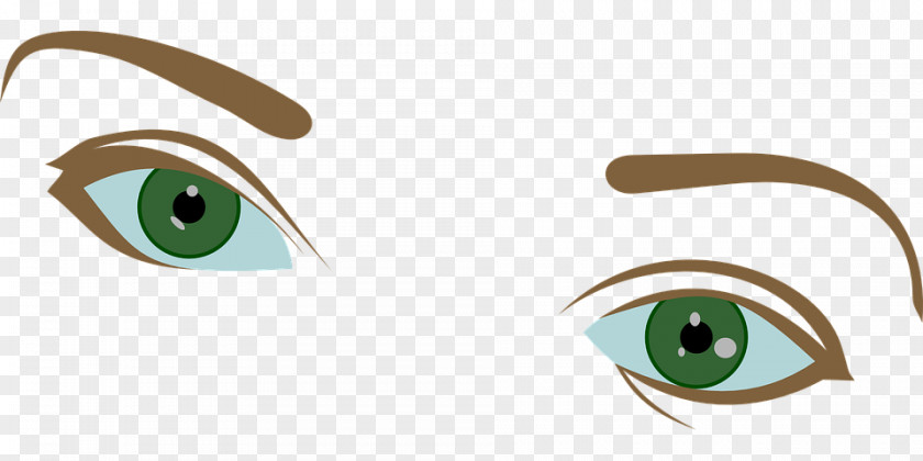 Eye Iris Clip Art Eyebrow Image PNG