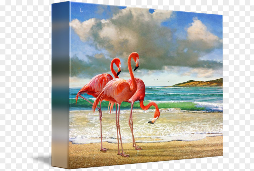 Flamingo Canvas Print Painting Printing PNG
