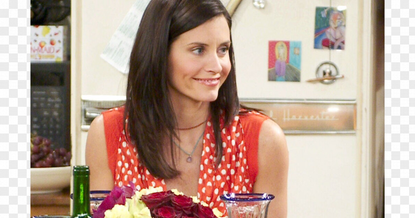 Friends Courteney Cox Monica Geller Ross Phoebe Buffay PNG