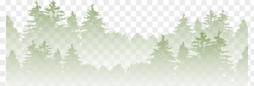 Misty Woods PNG woods clipart PNG