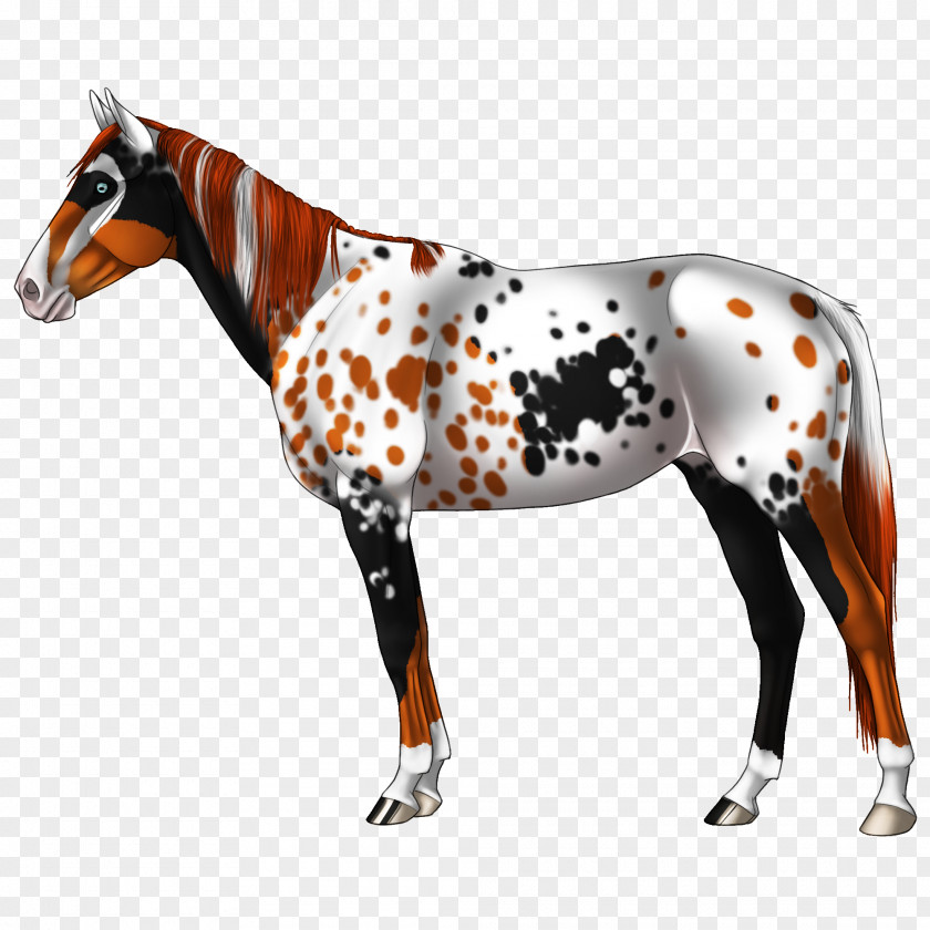 Mustang Stallion Foal Mare Pony PNG