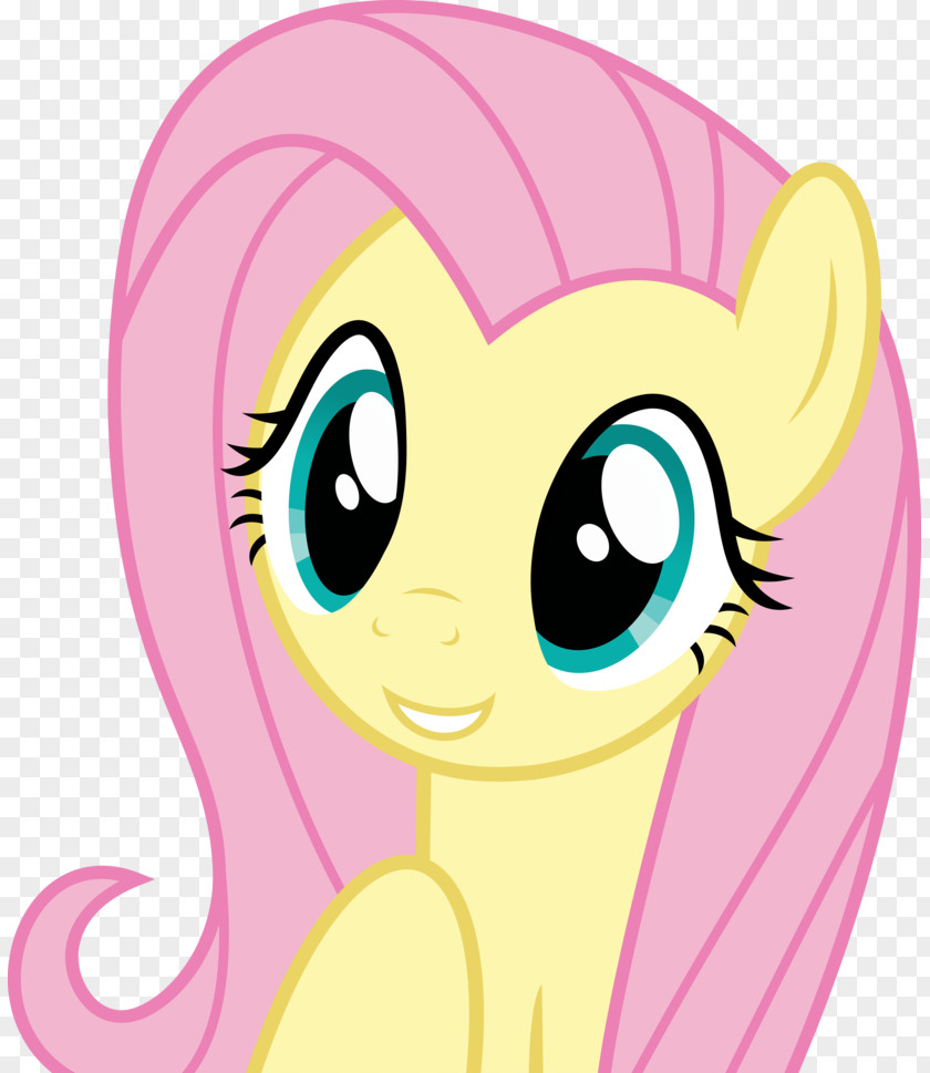 My Little Pony Fluttershy Twilight Sparkle Rainbow Dash PNG