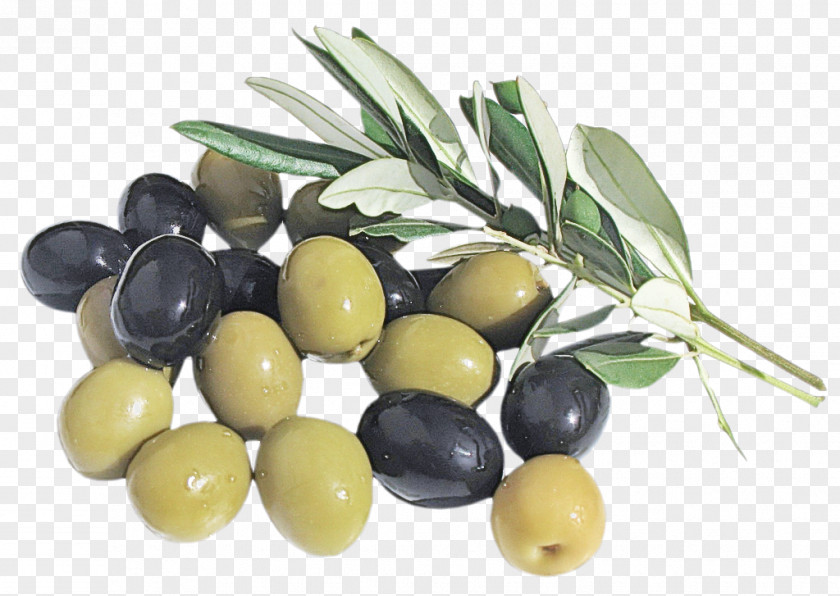 Olive Family Oil PNG