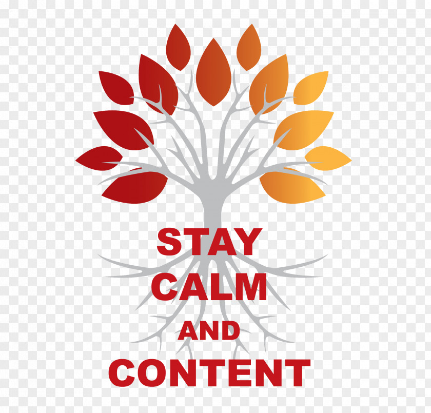 Calm Stay And Content Logo Surf Snowdonia Tree Frog Digital The Townhouse Hotel PNG
