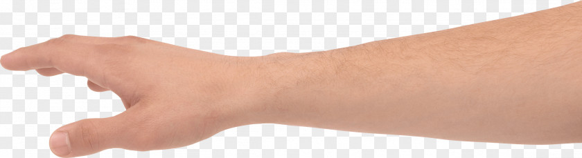 Hands Hand Image Thumb PNG
